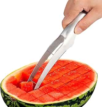 71RzABsi+bL._AC_UF350,